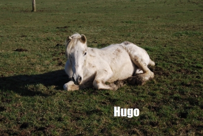 Hugo